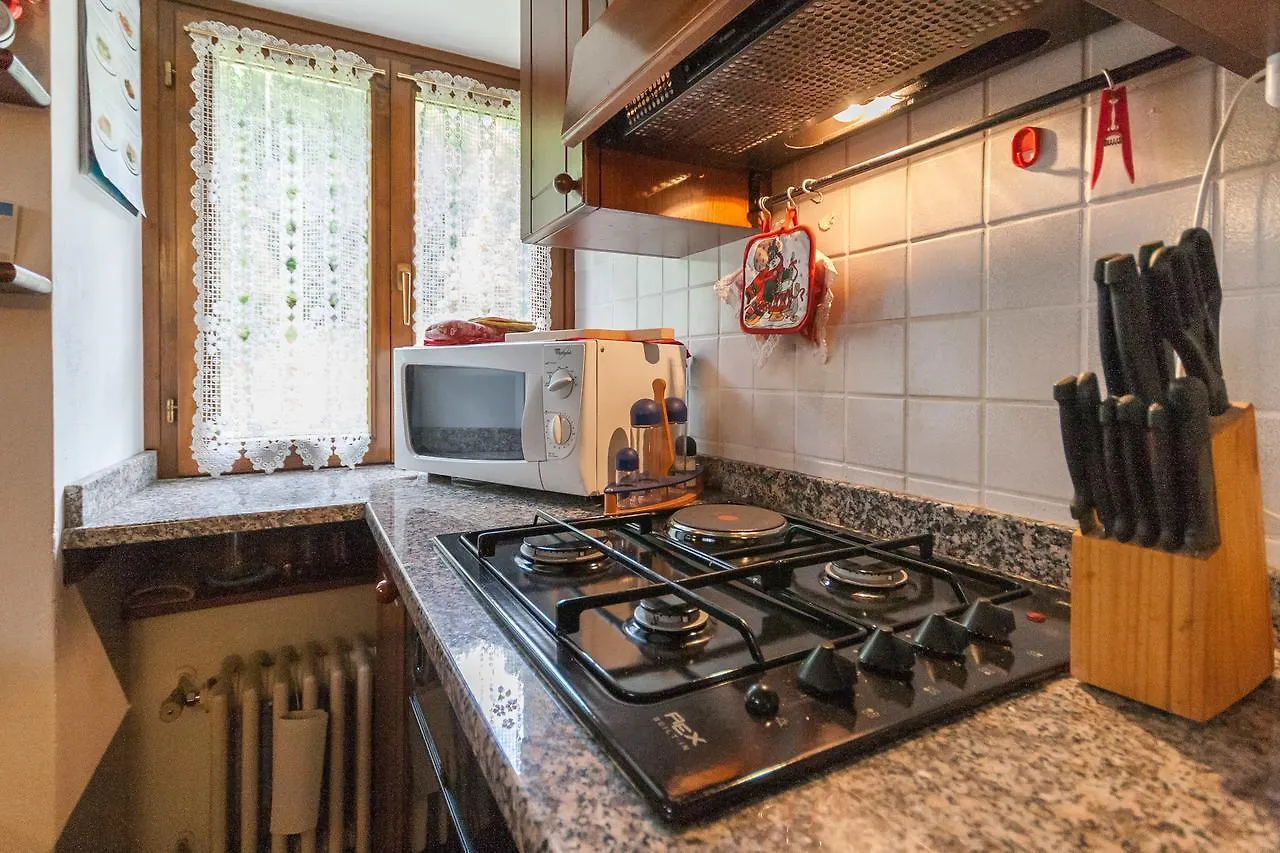 Casa Silva Apartment Falcade